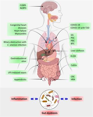 Editorial: The interplay of gut-microbiome between infection and inflammation
